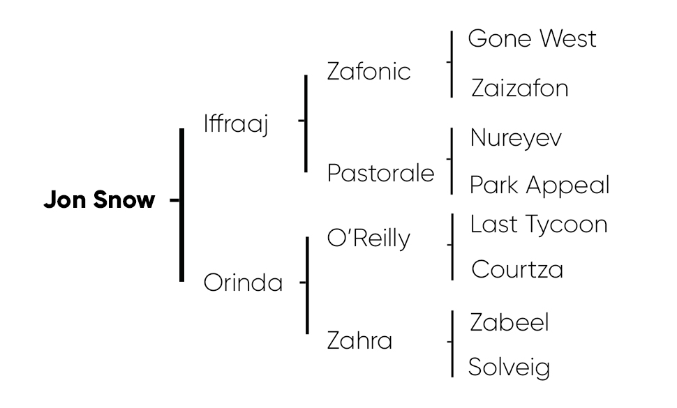 Jon Snow Pedigree